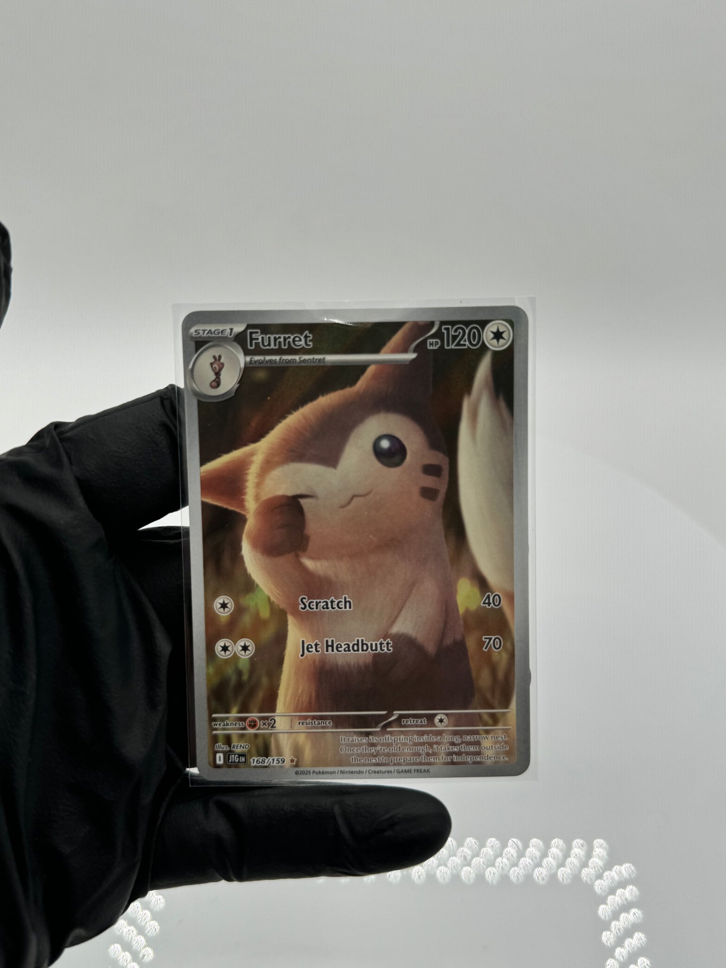 Pokémon Journey Together - Furret (IR)